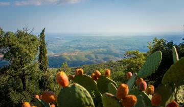 Via Algarviana - das Hinterland der Algarve erwandern (8 Tage)
