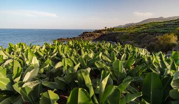 New Year's Eve on La Palma 8 Days