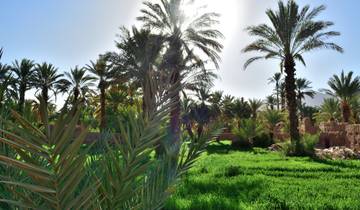 Circuito Lo más destacado de Marrakech y el Sur de Marruecos (11 días)