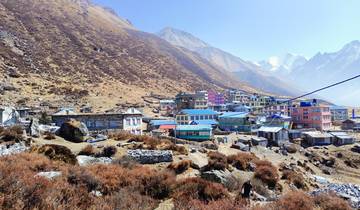 Langtang Trek over Laurebina Pass1 6 Days Tour
