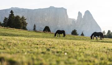 Dolomieten Ronda 1 - Comfort (6 dagen)-rondreis