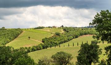 Cycle Tour Through Alentejo Vineyards and Lake Alqueva9 Days