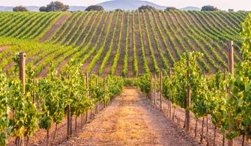 Tour à vélo à travers les vignobles de l'Alentejo et le lac Alqueva (9 jours)