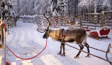Nordlichtzauber über die Grenzen Skandinaviens (7 Tage)