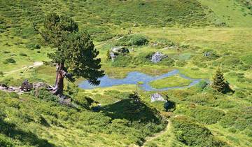 Gastein Valley: Hiking between the wild national park and picturesque spa culture (7 days)