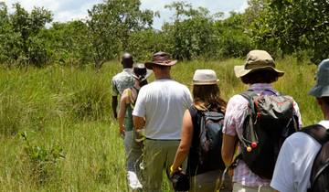 Primaten Safari in Uganda - individuelles Abenteuer im Safarizelt (11 Tage)