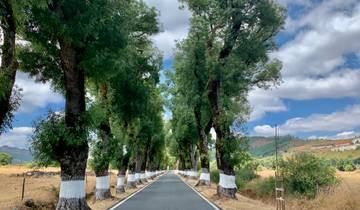 Portugal - Discover the Alentejo Region on Hidden Trails by Gravel Bike 7 Days