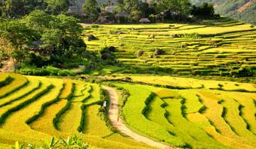 Die Highlights von Vietnam & Kambodscha in 18 Tagen entdecken (18 Tage) Rundreise