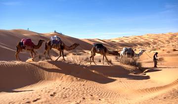 Du nord au silence du Sahara : en 14 jours à travers la Tunisie (14 jours)