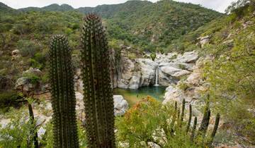Mexico's Baja Peninsula: Hike, Bike & Kayak