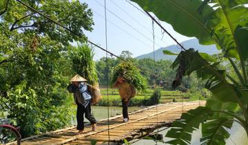 Vietnam - Explorer le pays du centre au nord (18 jours)