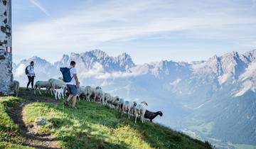 Semana de senderismo en los parques naturales de los Dolomitas (8 días)