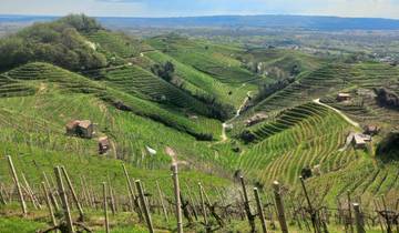 Veneto - Hike along the Prosecco Road (6 days)