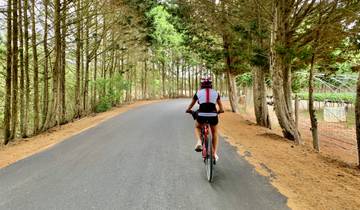 Portugal - Explore the wild coast by gravel bike (7 days)