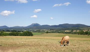 From Le Puy-en-Velay to Saint-Jean-Pied-de-Port3 8 Days