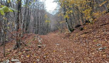 Chemin de Saint-François - de Norcia à Rieti (7 jours)