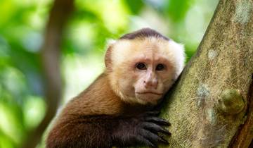 Costa Rica, Nicaragua & Panama 21 Days