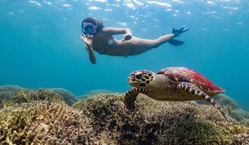 7 jours de découverte des Visayas : Boracay Bliss, Cebu Adventures et Bohol Countryside Escape