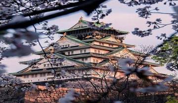 TRD HS 2P - Découvrez le Japon - Nourriture et vélo - 10D9N