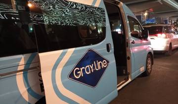 Le forfait ville simple de RIYADH