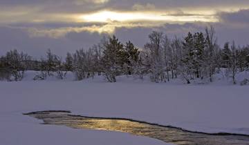 Dance of the Runners in a Winter dream