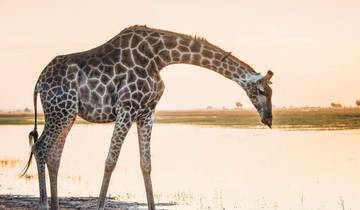 10-Day Ultimate Indulgence - Ultra Luxury Safari to Kenya Tour