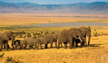 10 Tage Safari \"Das Beste von Tansania & Kenia Rundreise