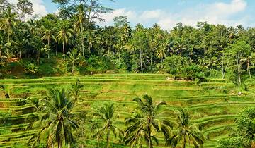 Vacances en famille à Bali avec des adolescents
