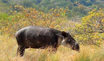 Self Drive Costa Rica - 14 días