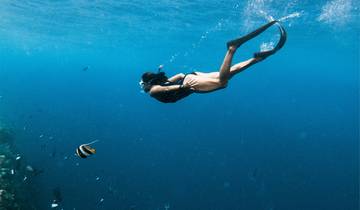 Private North Maldives Island Hopping - 8 days Tour