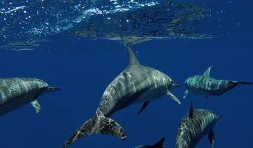 Privé eilandhoppen in het noorden van de Malediven - 8 dagen-rondreis