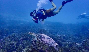 North Maldives Island Hopping - 8 days