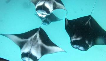 Eilandhoppen op de Malediven - 8 dagen-rondreis