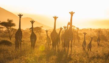 9-Day Big Kenya Safari - Mid-Range