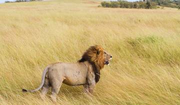 6-tägige Highlights von Kenia und Tansania - Mittelklasse Rundreise