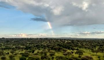 7-Day Bush and Beach Honeymoon Safari