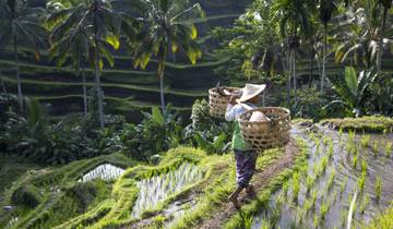 Bangkok to Bali (from Bangkok to Ubud)