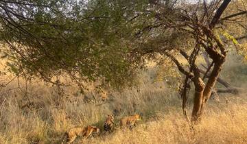 Meistverkaufte 8 Tage Delhi-Agra-Jaipur-Ranthambore Golden Triangle Tour - Luxushotels Rundreise