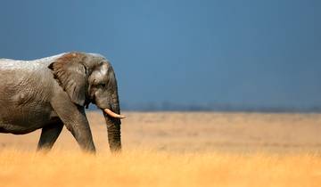 Namibia Discovery (from Cape Town to Windhoek)