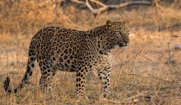India Golden Triangle Family Holiday Comfort Tour