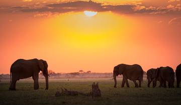 Geluxe: Zimbabwe and Botswana: Chobe, Hwange & the Wildlife of Victoria Falls