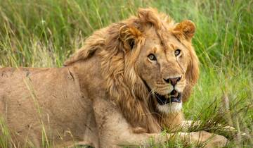 Wildlife & Coastal Wonders of Kenya: Tsavo to Watamu Tour