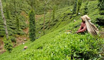 Premium Inde du Nord et du Sud (from Delhi to Alleppey)