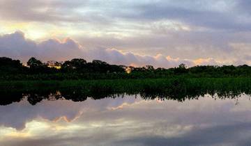 Aventure amazonienne à Yasuní - 5 jours
