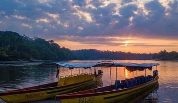 Amazon Expedition in Yasuní – 6 Days