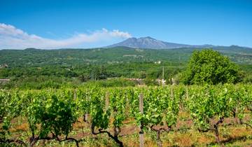 Discover the Highlights of Sicily (8 days)