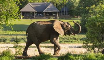 6-Day Sabi Sands and Kruger Park Safari