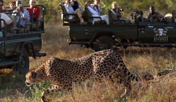 6-Day Sabi Sands and Kruger Park Safari