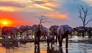 5-Day Selous, Mikumi & Boat Safari Adventure