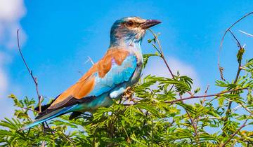 Customized 5 Days Angola Coastal Trip, Private Guide and Daily Start